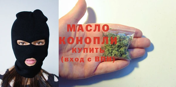 гидра Горняк