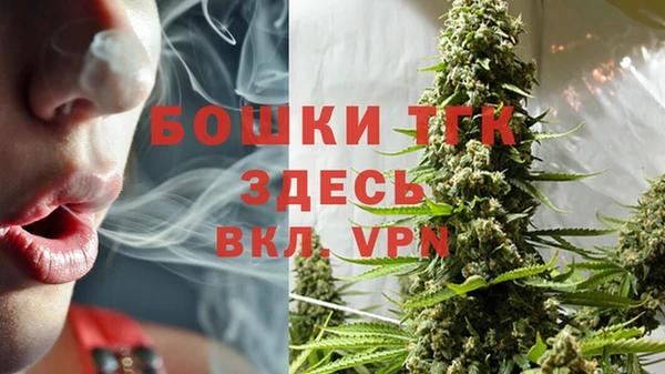 гидра Горняк