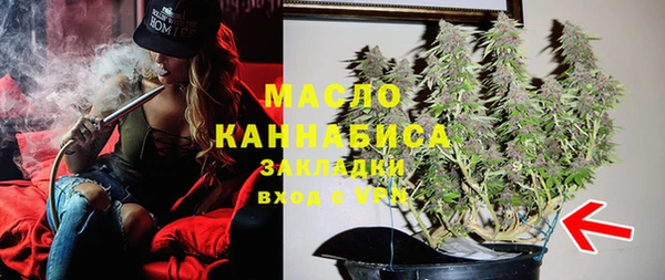 гидра Горняк