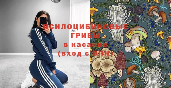 мяу мяу мука Ладушкин