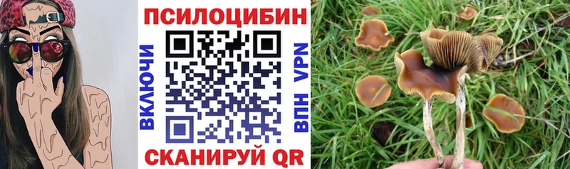 где найти   кракен онион  Галлюциногенные грибы Magic Shrooms  Добрянка 