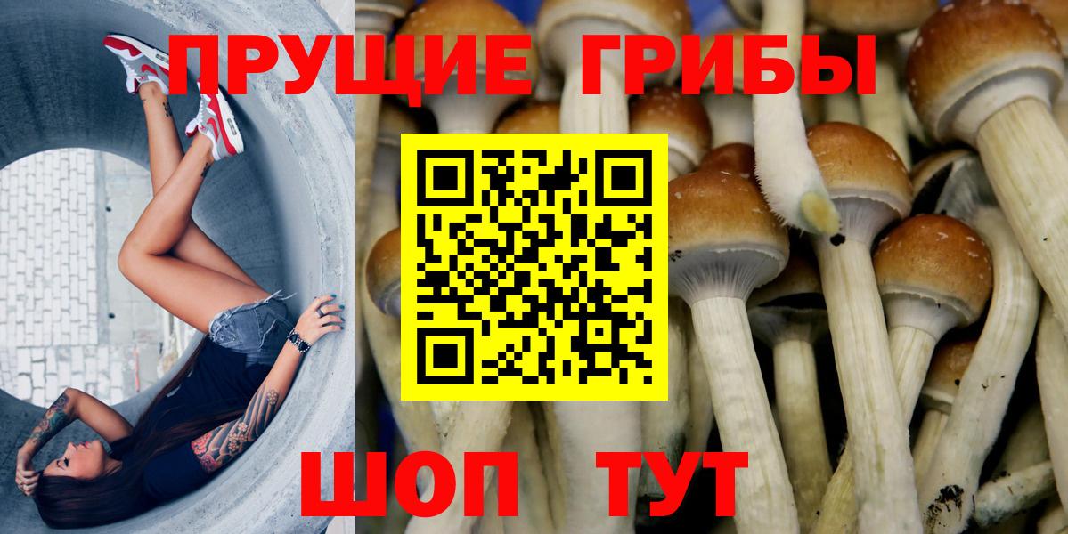 Псилоцибиновые грибы Magic Shrooms  Галлюциногенные грибы GOLDEN TEACHER  Добрянка  Вход с VPN 