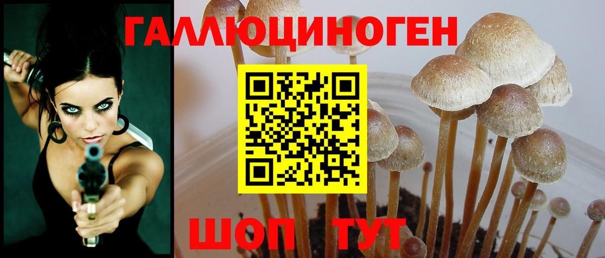 Галлюциногенные грибы GOLDEN TEACHER Добрянка