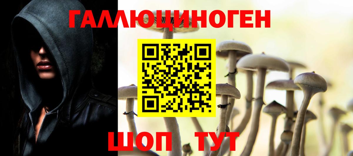 Псилоцибиновые грибы прущие грибы Добрянка