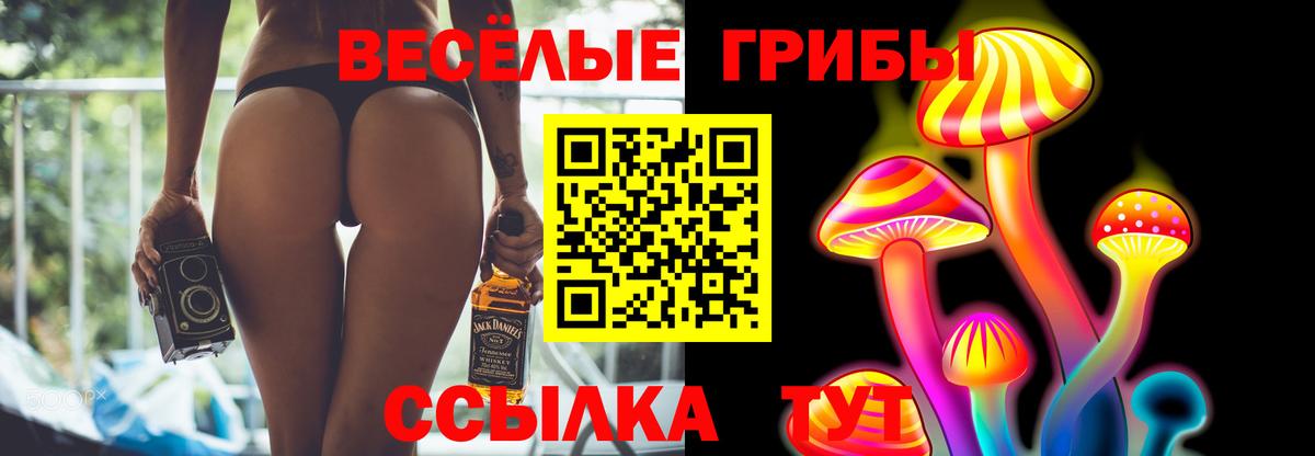 Галлюциногенные грибы Psilocybine cubensis Добрянка